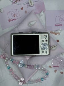 máy ảnh lumix của danangdigicam